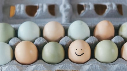 Eggs in a carton and one has a smiley face drawn on it