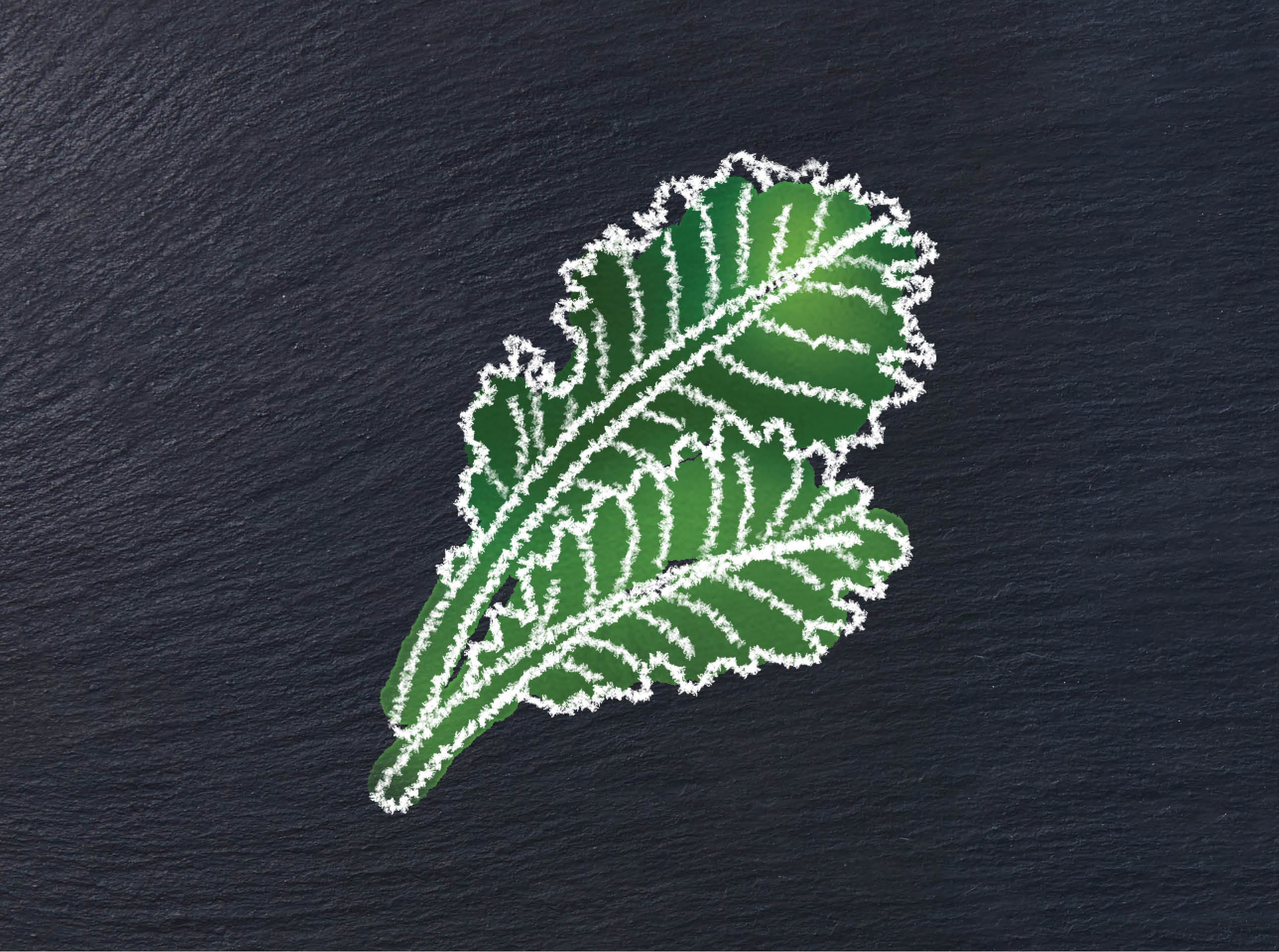illustration of a kale leaf