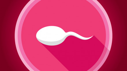 Vector illustration of a sperm against a pink circle background in flat style.