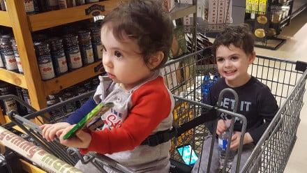 Two little boys with curly hair sitting in a shopping cart