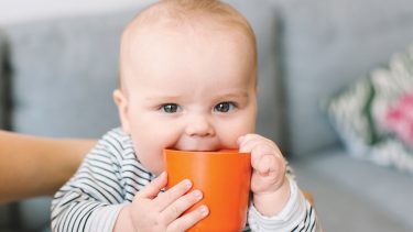 Baby sucking on an orange cup