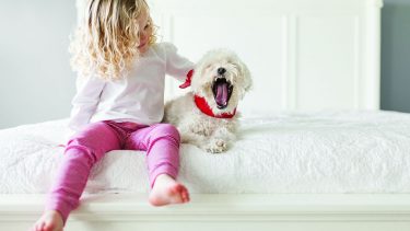 little girl petting her dog on the bed