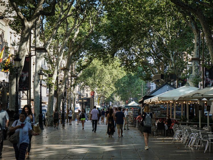 14 things to do in Barcelona with kids