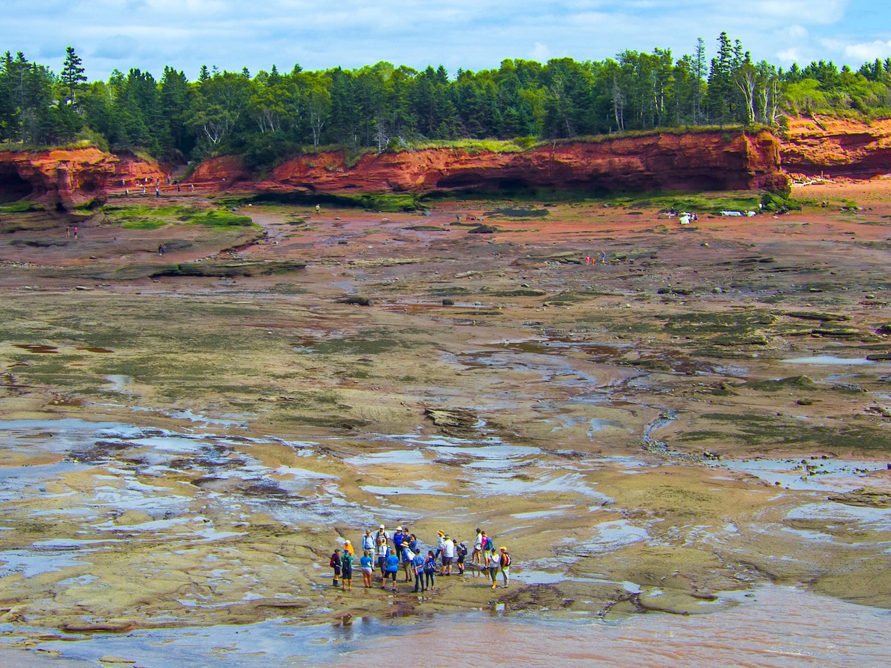 people exploring mudflats