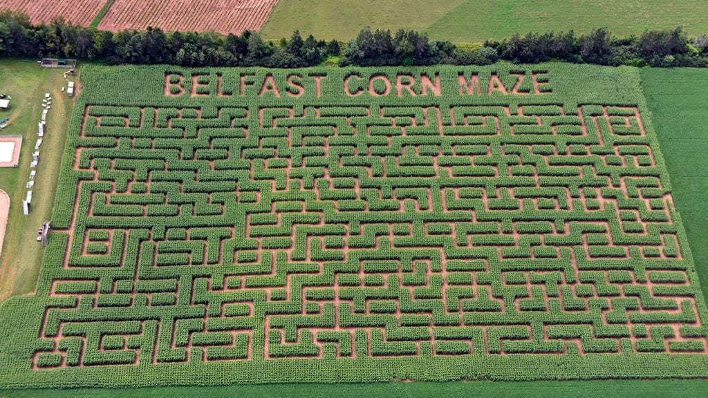 Aerial shot of a corn maze