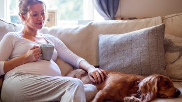 A pregnant woman sitting on the couch drinking a mug of coffee and and petting her dog