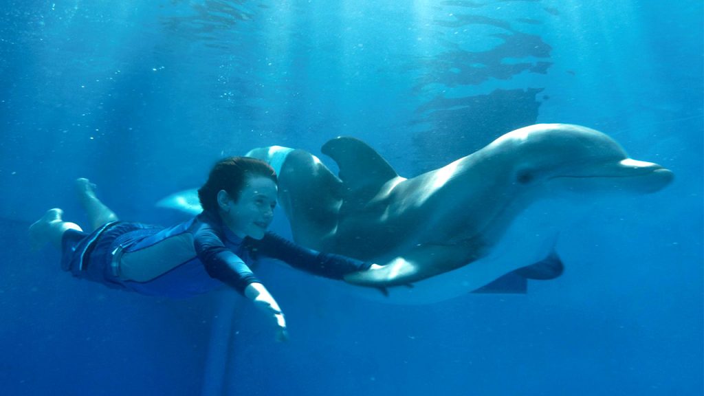 Promo image for Dolphin Tale showing a boy swimming with a dolphin