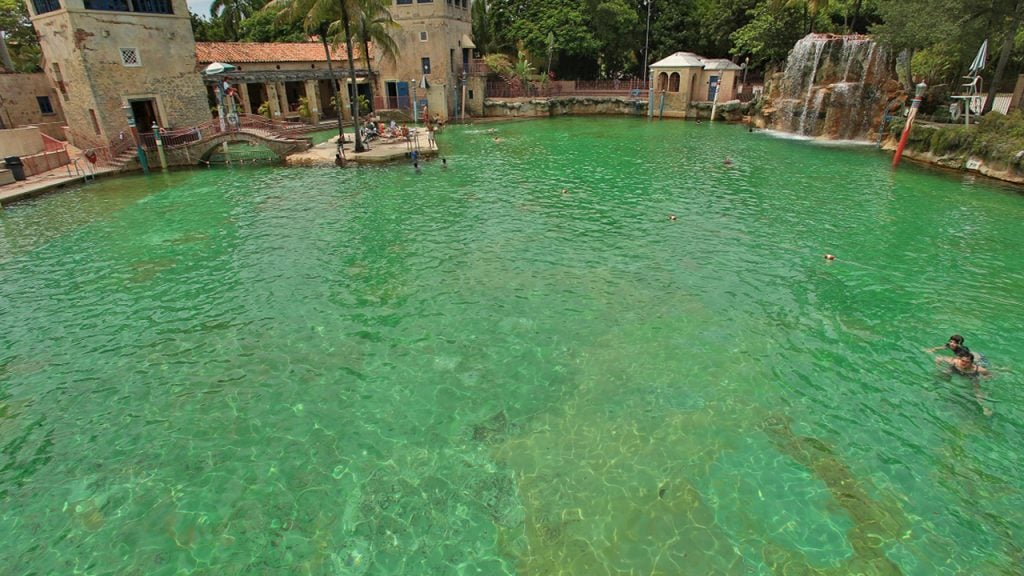 large pool of green water