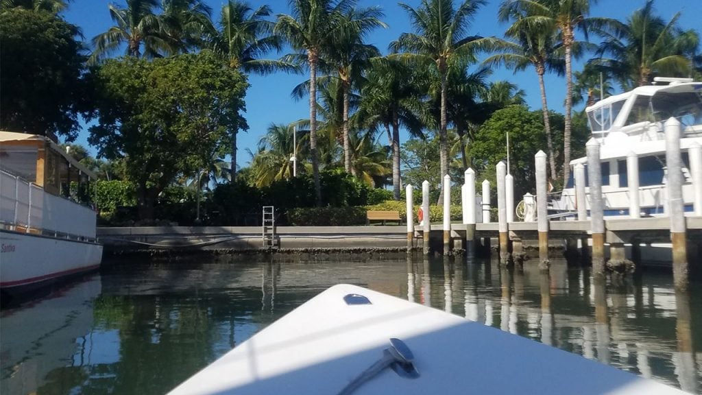 View of a marina with palm trees from a boat