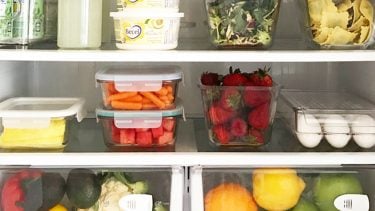 really organized fridge interior