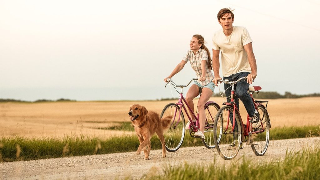 Promo image for A Dogs Purpose showing a dog walking behind two people riding bikes