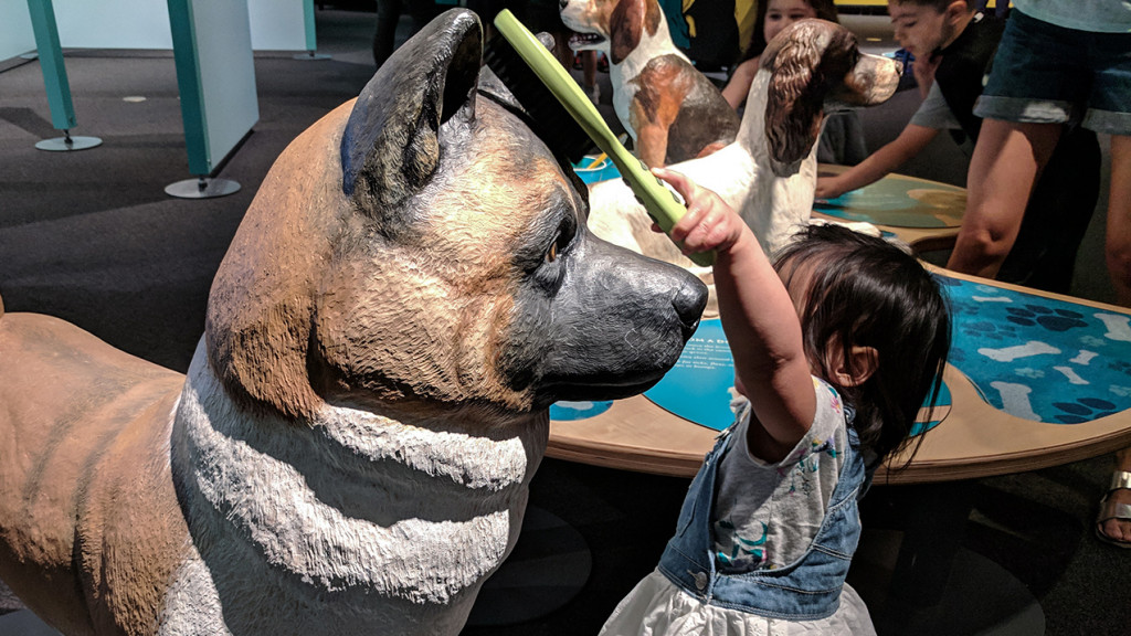 Toddler plays with dog statue at the California Science Centre