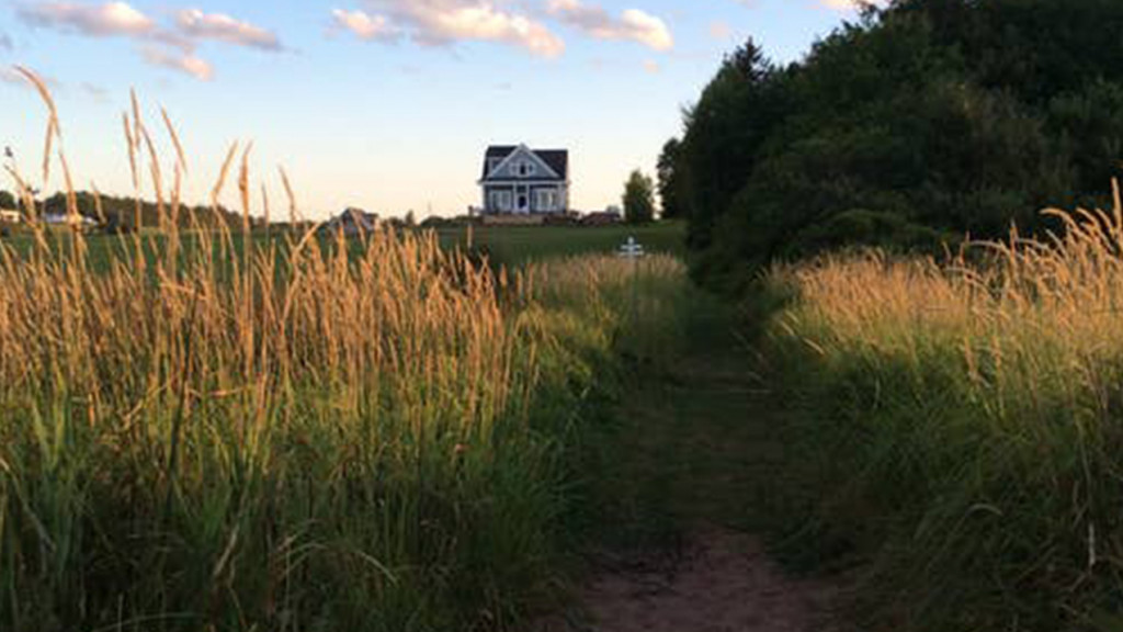 NovaScotia house set back from beach with tall grasses in front