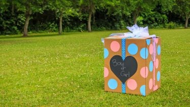 A box for a gender reveal