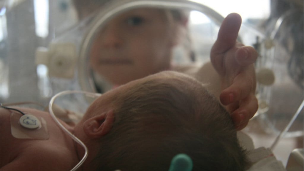 toddler reaching into incubator