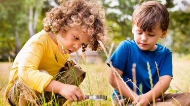 Two little boys looking at bugs using magnifying glasses