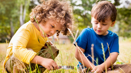 Two little boys looking at bugs using magnifying glasses
