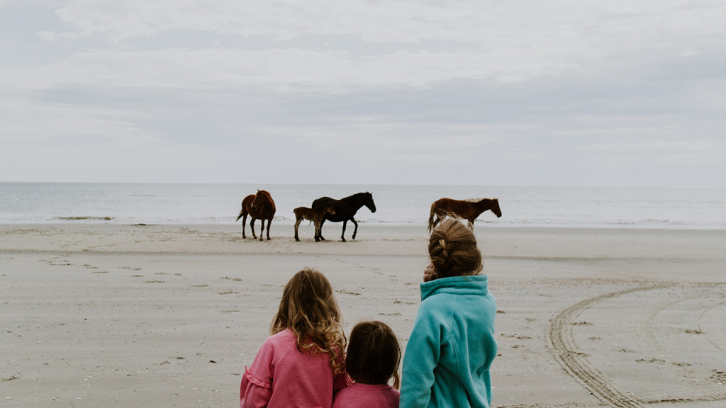 Three girls looking at horses