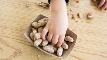 a child's hand reaching into a bowl of unshelled peanuts