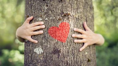 Climate change and kids: kid's hands hugging a tree with a heart on the trunk
