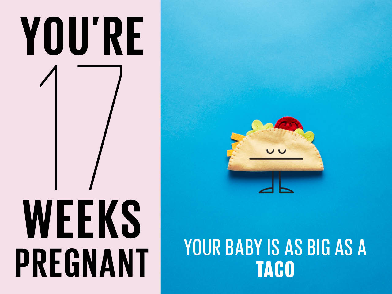 Felt taco used to show how big baby is at 17 weeks pregnant