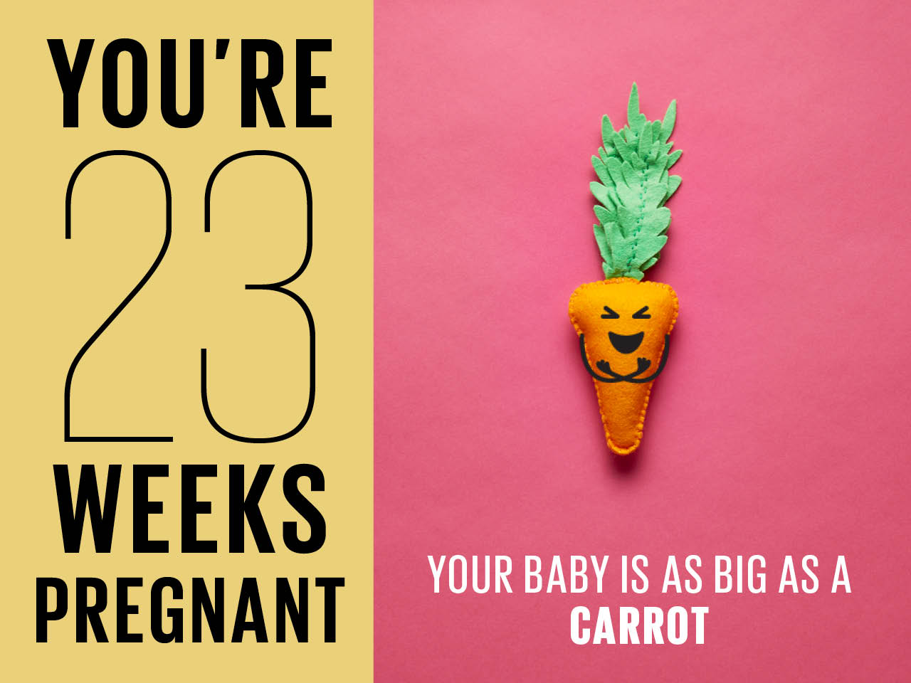 23 weeks pregnant baby size pictured with felt carrot