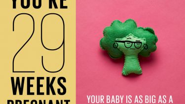 29 weeks pregnant symbolized with felt broccoli head