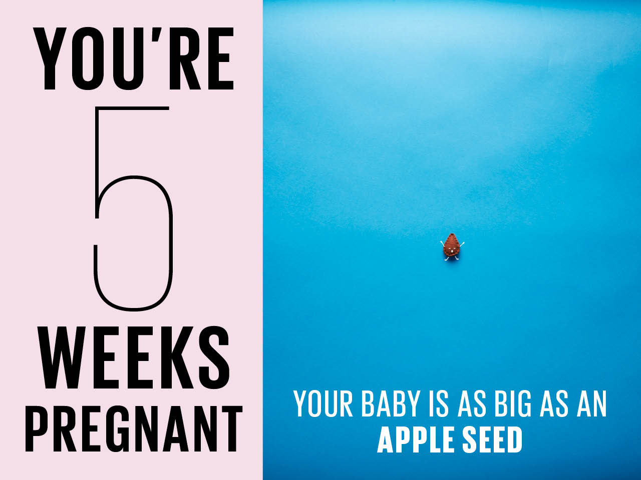 5 viikkoa raskaana