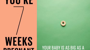 7 weeks pregnant baby size symbolized by cheerio