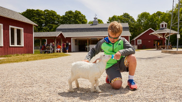 9 things to do in Door County with kids