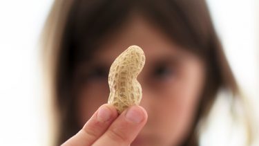 girl holding up a peanut