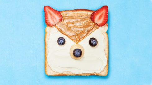 toast decorated like a fox