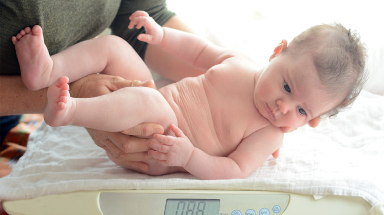 Chunky baby being placed on scale at doctor's office