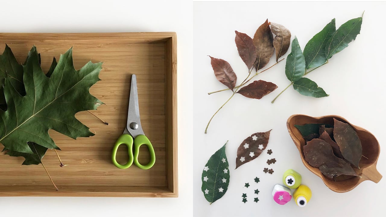 leaves with scissors and hole punches