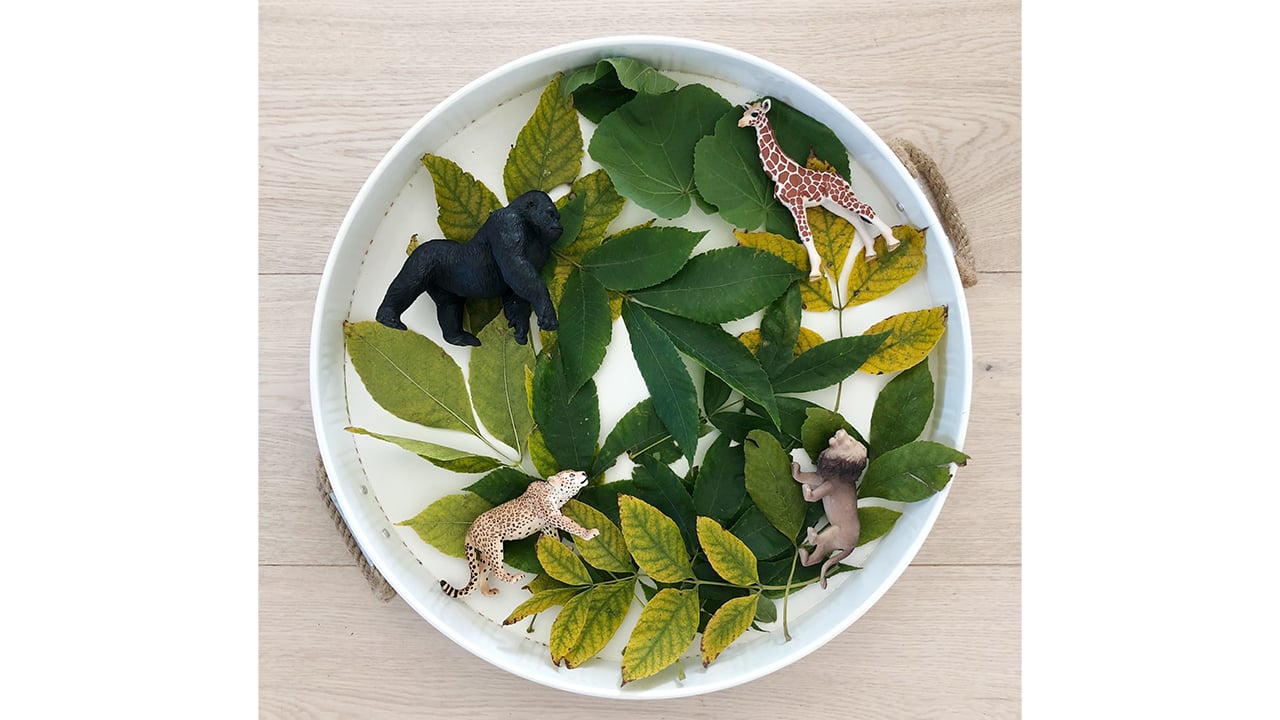 photo of a bowl with leaves and animal figurines scattered in it