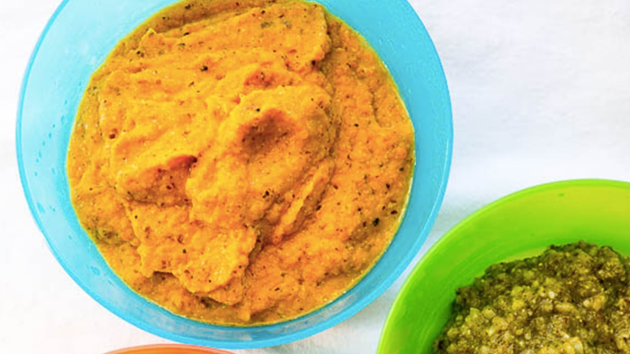 baby food recipes Bowl with carrot puree