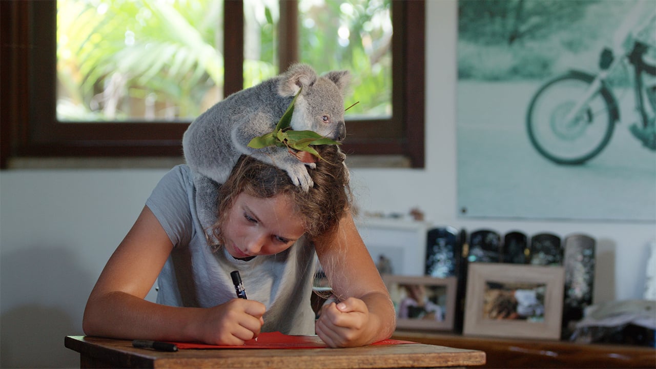 a girl writes on a piece of paper while a koala sits on her head