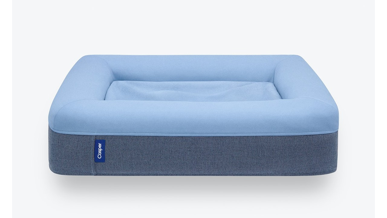 blue dog mattress