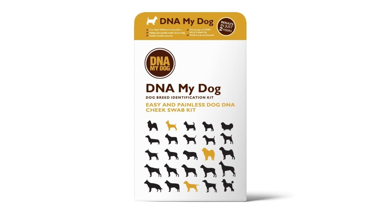 DNA kit for dogs