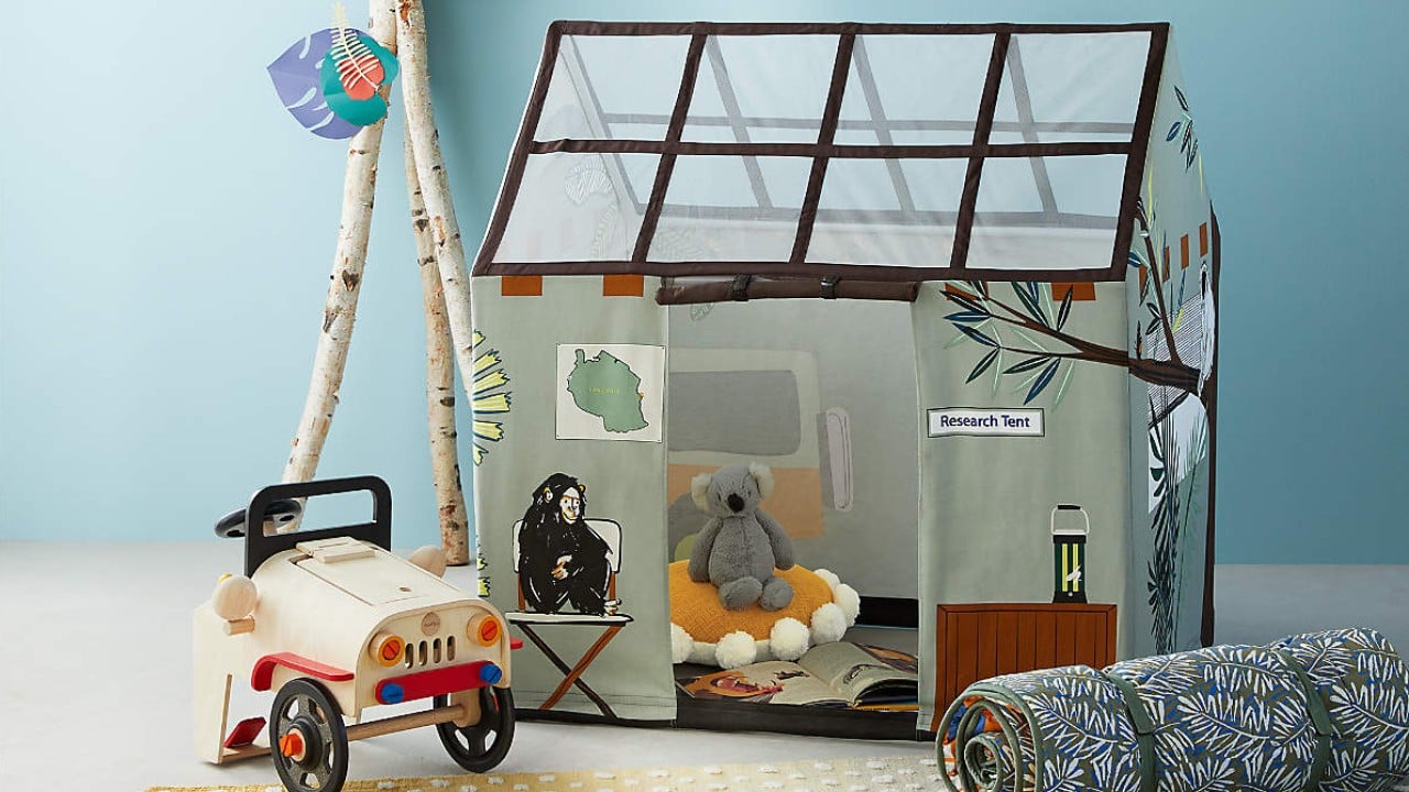 Jane Goodall-themed play tent with safari accessories