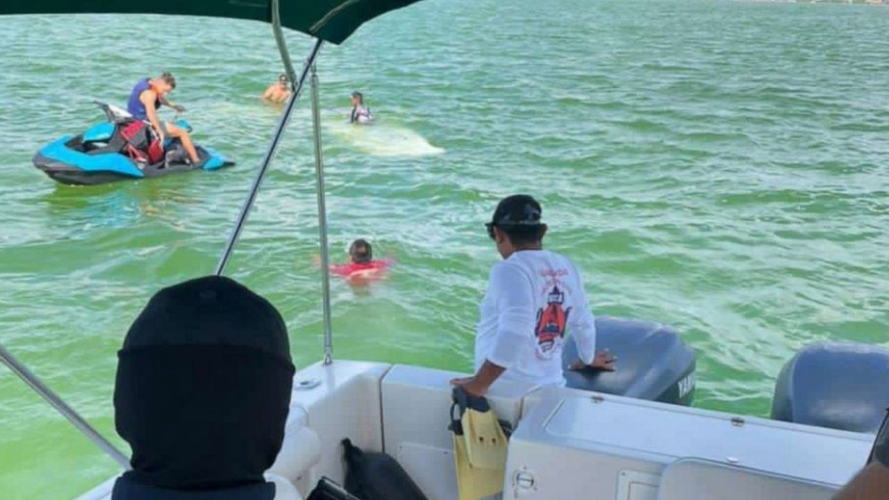 Deux passagers sur un bateau regardent trois personnes dans l'eau et une dans la mer