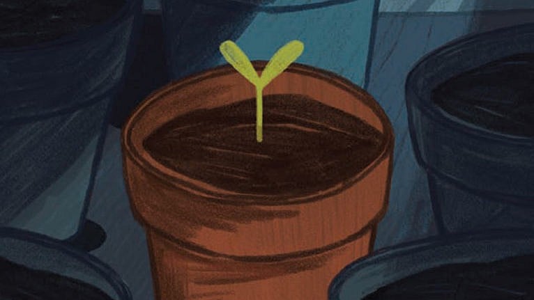 Illustration of a sprout growing in a pot of soil surrounded by other empty pots that are in the dark