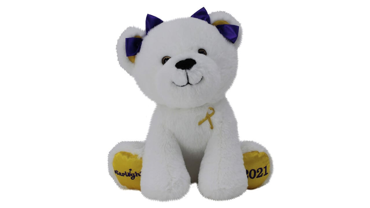 cozy teddy bear for charity