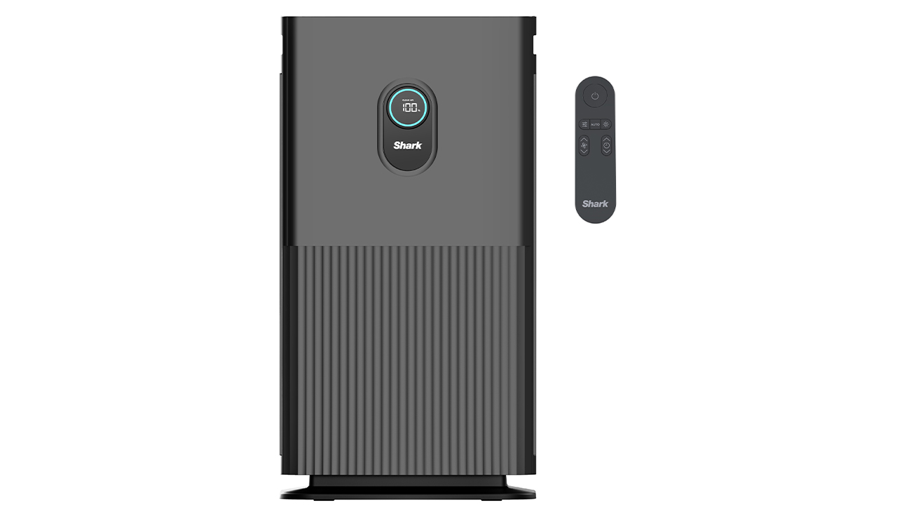 Air purifier with remote