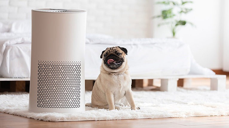 a pug dog sits next to a white cylindrical air purifier