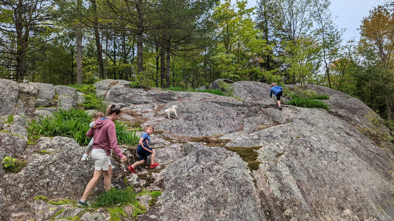 Three kids, dog and mom scale a rock wall as part of outdoor play
