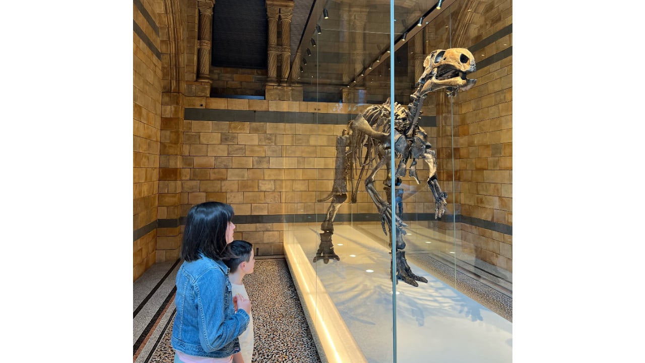 two children looking at a dinosaur skeleton