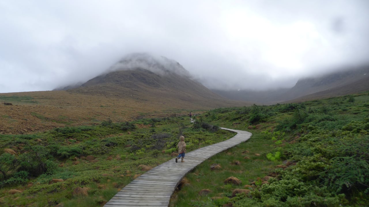 A child walking along the boardwalk among the nature at Gros Morne National Park in Newfoundland