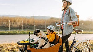A mother strolling and pushing her cargo bike with child, dog, and items inside. Cargo bikes are a good method for parents to get around.