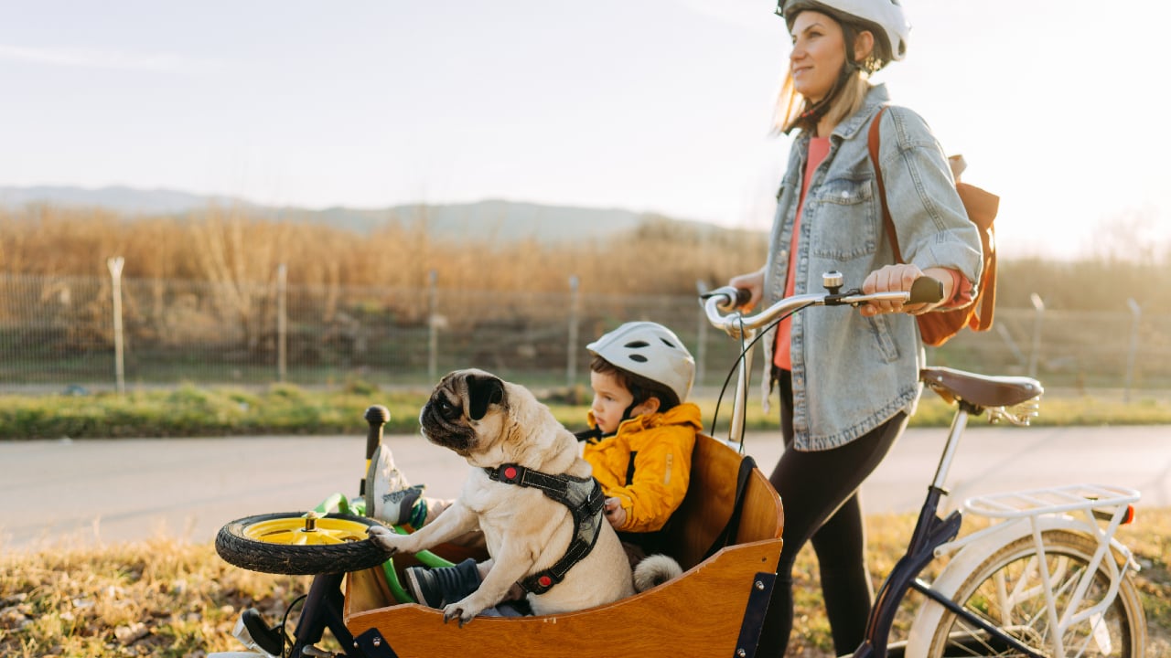 What parents need to know about cargo bikes for kids